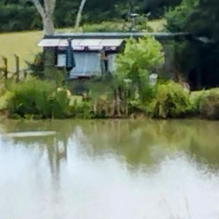 Hadlow Down Peaceful Ensuite Lakeside Cabin 'Tench' المظهر الخارجي الصورة