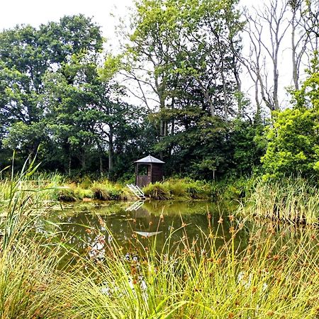 Hadlow Down Peaceful Ensuite Lakeside Cabin 'Tench' المظهر الخارجي الصورة