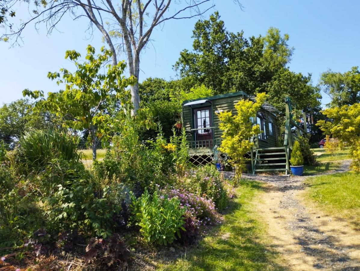 Hadlow Down Peaceful Ensuite Lakeside Cabin 'Tench' المظهر الخارجي الصورة