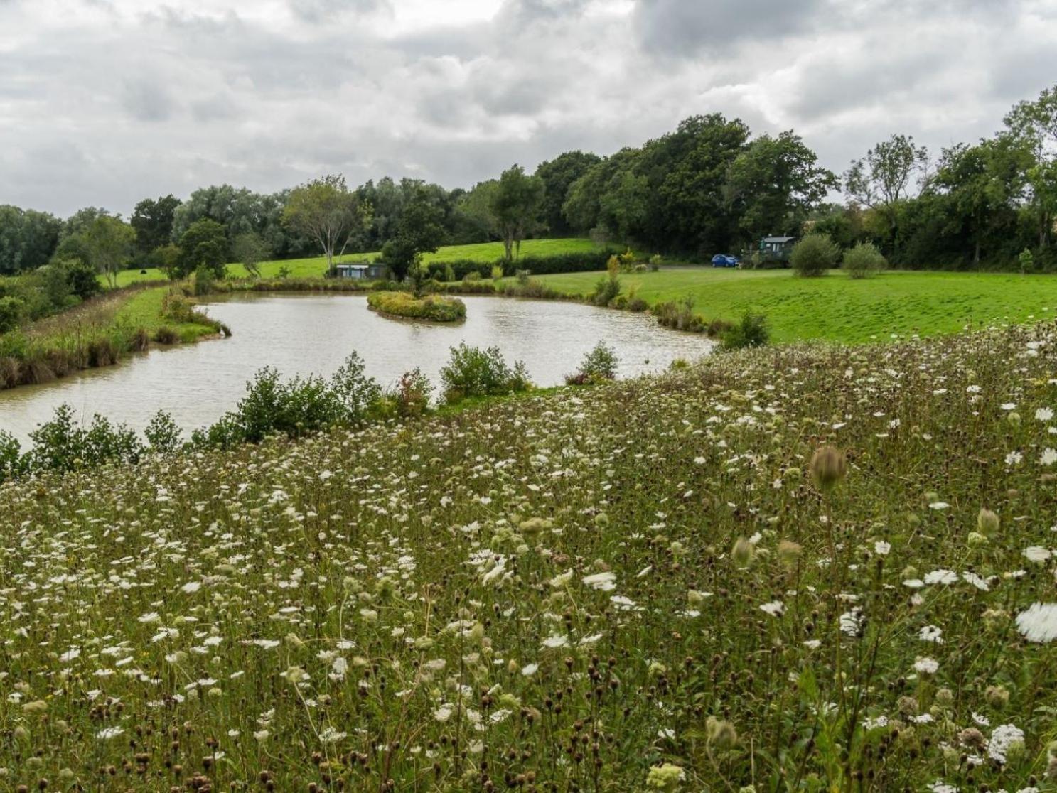 Hadlow Down Peaceful Ensuite Lakeside Cabin 'Tench' المظهر الخارجي الصورة