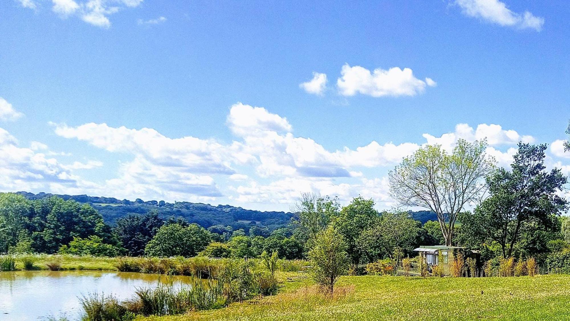 Hadlow Down Peaceful Ensuite Lakeside Cabin 'Tench' المظهر الخارجي الصورة