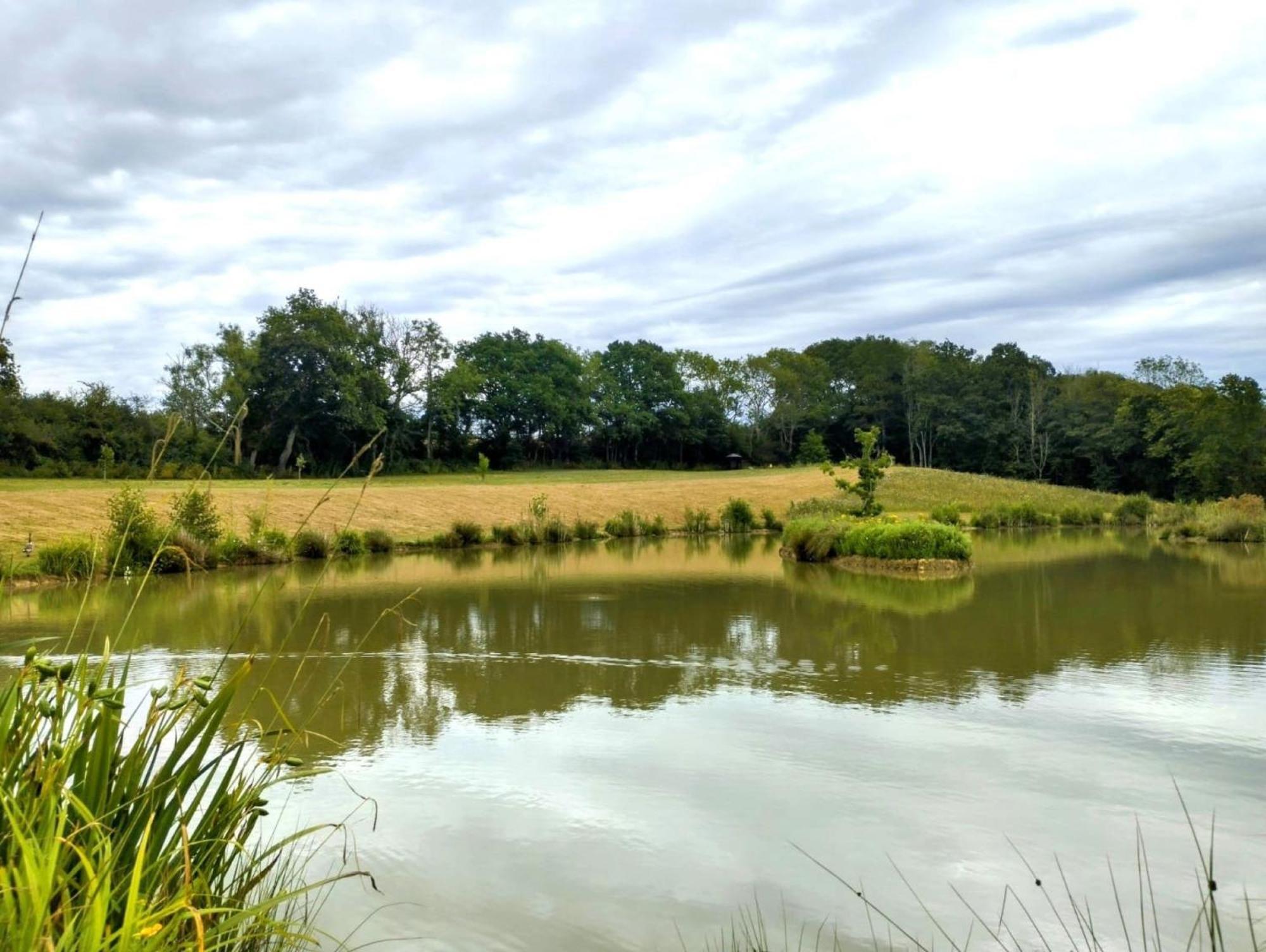 Hadlow Down Peaceful Ensuite Lakeside Cabin 'Tench' المظهر الخارجي الصورة